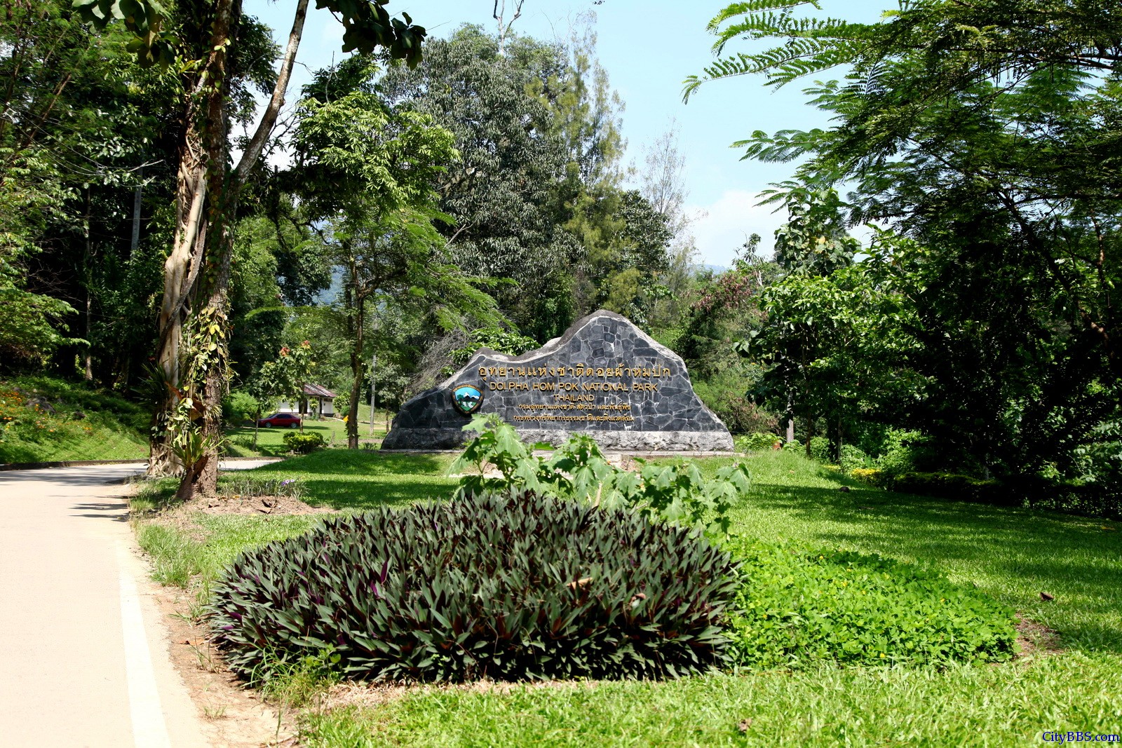 泰国北部 Doi Pha Hom Pak National Parks 泰国森林公园