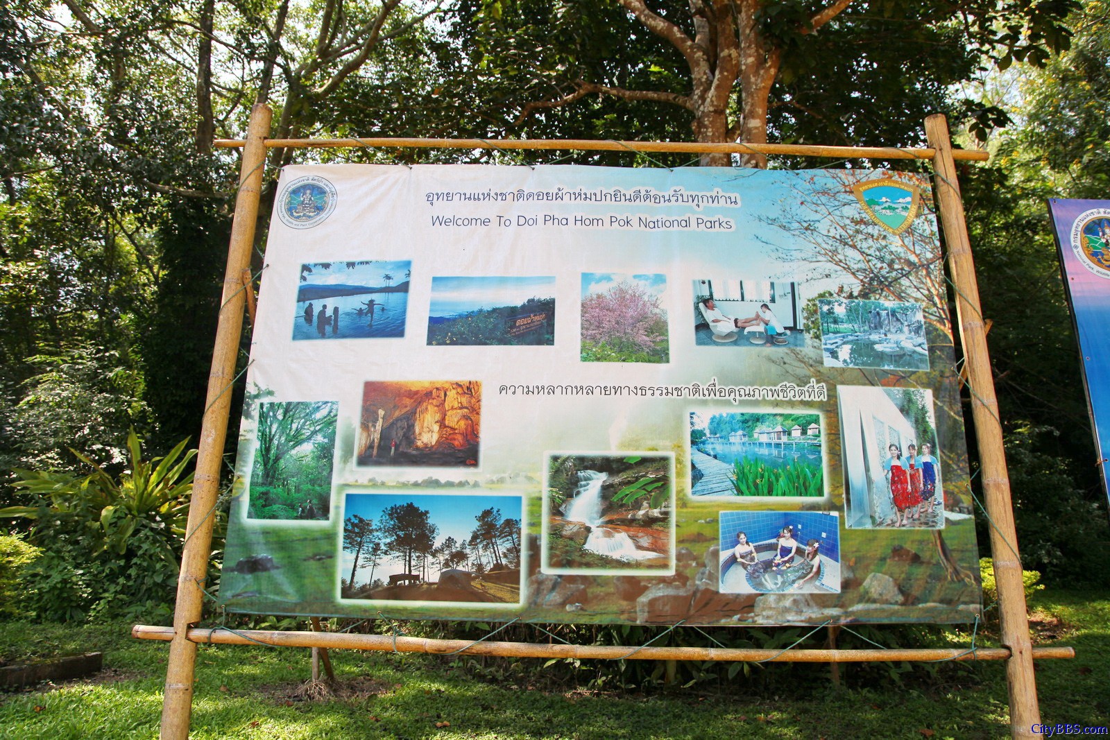 泰国北部 Doi Pha Hom Pak National Parks 泰国森林公园