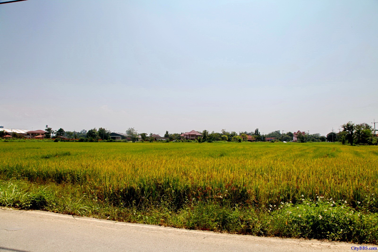 泰北Doi Pha Hom Pok National Park国家森林公园至清迈 107号公路