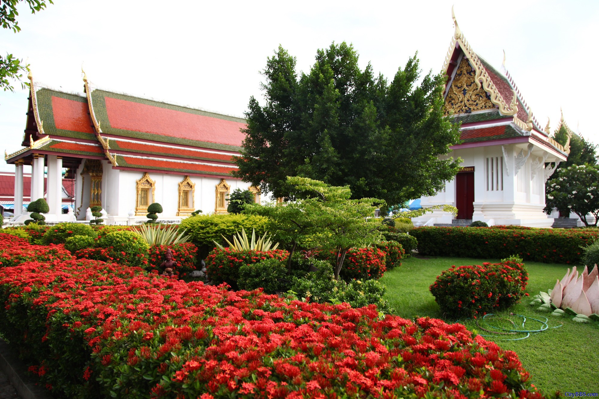 彭世洛（Phitsanulok）斯吗哈搭寺，当地称为Wat Yai(大庙)