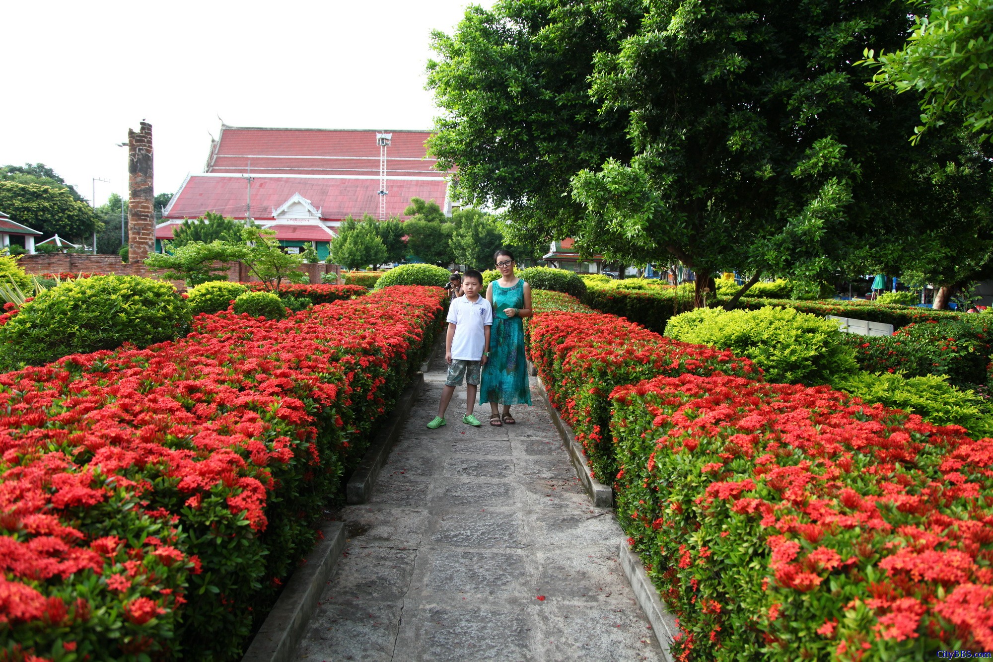 彭世洛（Phitsanulok）斯吗哈搭寺，当地称为Wat Yai(大庙)