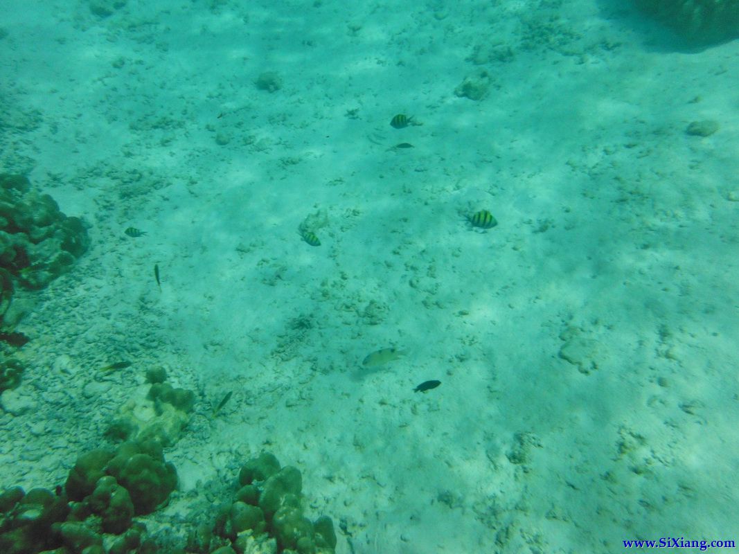 丽贝岛（Koh Lipe）游览