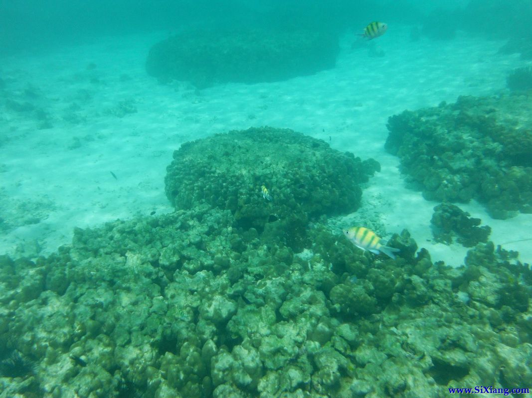 丽贝岛（Koh Lipe）游览