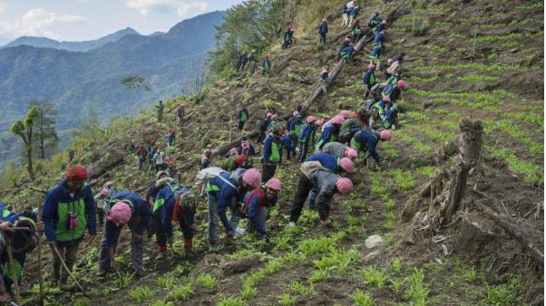 这儿是典型的山区，自打英国殖民时期以来，经济支柱就是鸦片